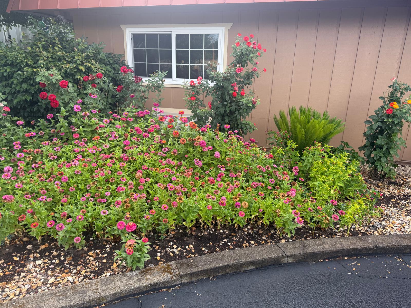 Hotel entrance at Americas Best Value Inn Ukiah